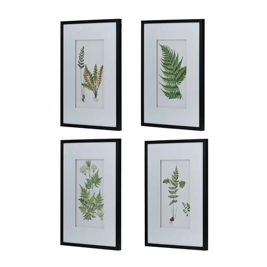 Botanical Fern Wall Art Prints Set of 4