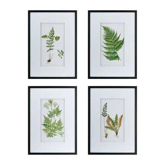 Botanical Fern Wall Art Prints Set of 4